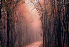 北控负于深圳佳兆业，遭遇两连败