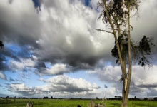 热火队大胜对手，士气高涨——冠军气质正在升温