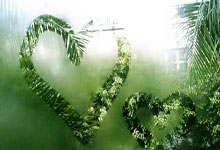 欧国联比赛中，拜仁慕尼黑队取得三连胜