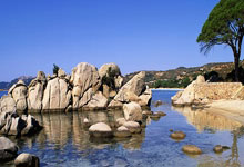 热火队大胜对手，士气高涨——冠军气质正在升温